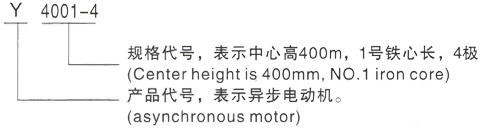 西安泰富西玛Y系列(H355-1000)高压YKS5002-10三相异步电机型号说明