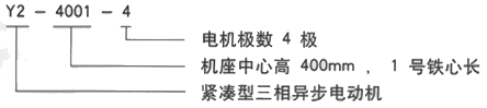 YR系列(H355-1000)高压YKS5002-10三相异步电机西安西玛电机型号说明